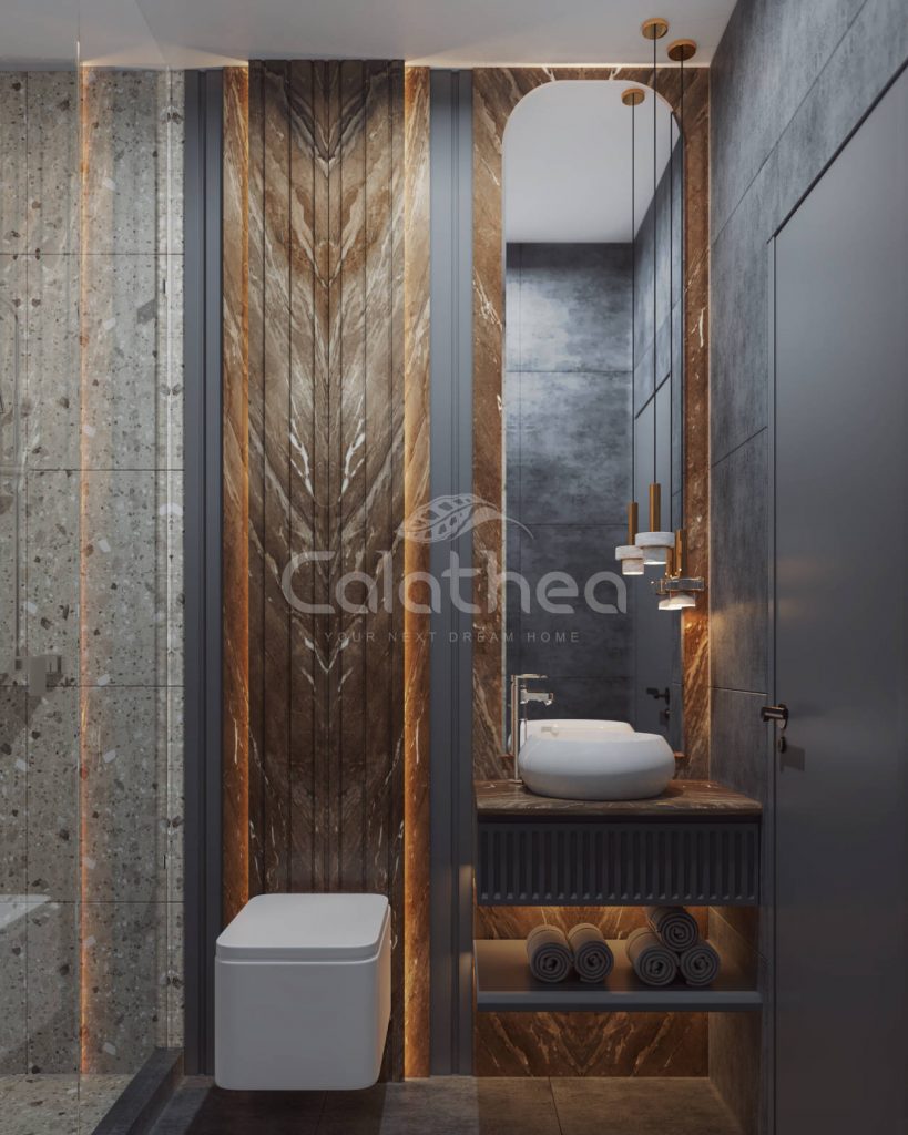 Public Toilet 1